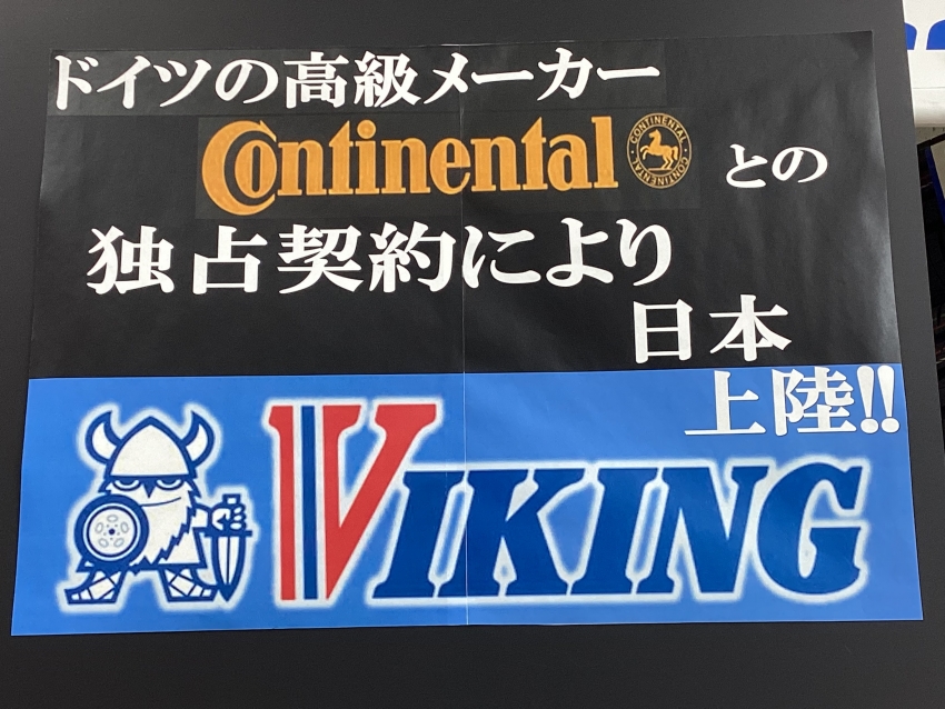 VIKING.JPG